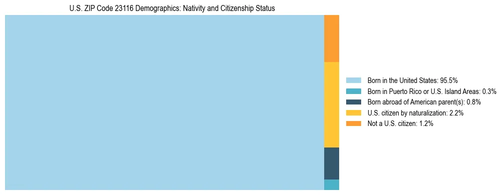 Treemap showing the population distribution by nativity and citizenship status in US ZIP Code 23116 based on U.S. Census data.