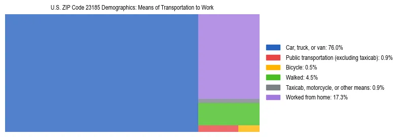 Treemap showing means of transportation to work distribution in US ZIP Code 23185.
