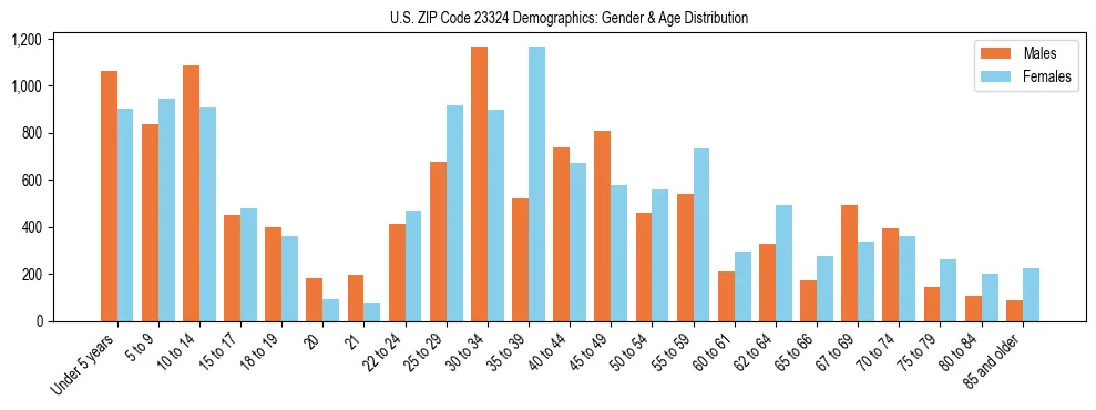 Bar chart showing the population distribution of US ZIP Code 23324 by age group and gender, based on 2023 ACS data.