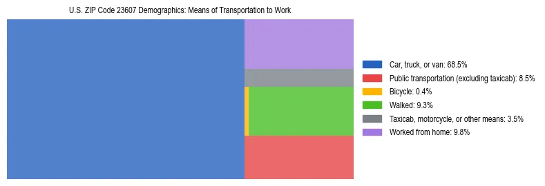 Treemap showing means of transportation to work distribution in US ZIP Code 23607.