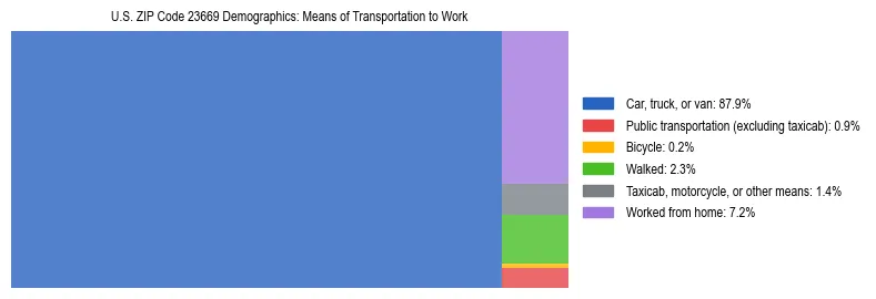 Treemap showing means of transportation to work distribution in US ZIP Code 23669.