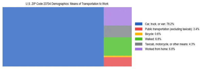 Treemap showing means of transportation to work distribution in US ZIP Code 23704.
