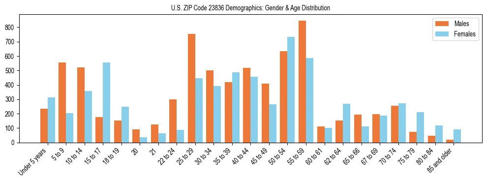 Bar chart showing the population distribution of US ZIP Code 23836 by age group and gender, based on 2023 ACS data.