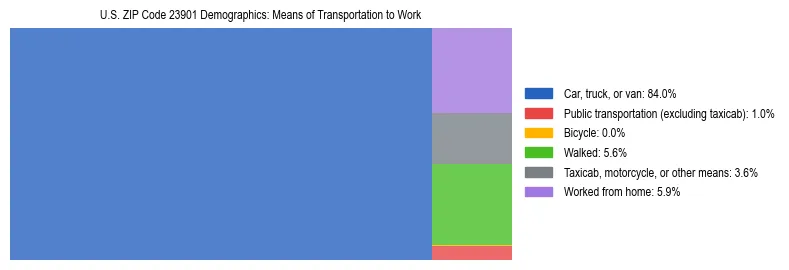 Treemap showing means of transportation to work distribution in US ZIP Code 23901.