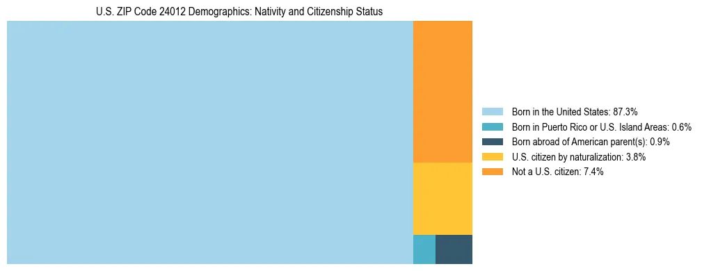 Treemap showing the population distribution by nativity and citizenship status in US ZIP Code 24012 based on U.S. Census data.