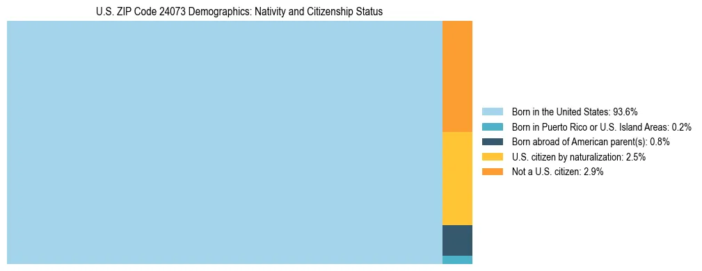 Treemap showing the population distribution by nativity and citizenship status in US ZIP Code 24073 based on U.S. Census data.