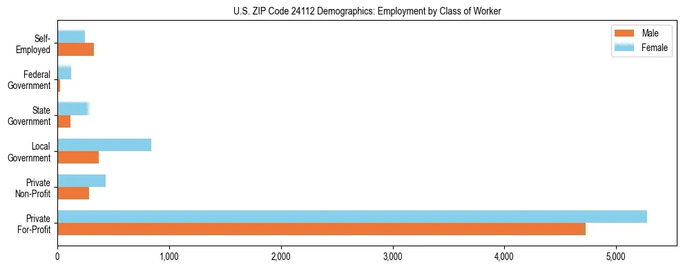 Horizontal bar chart showing employment distribution by class of worker and gender in US ZIP Code 24112, based on 2023 ACS data.