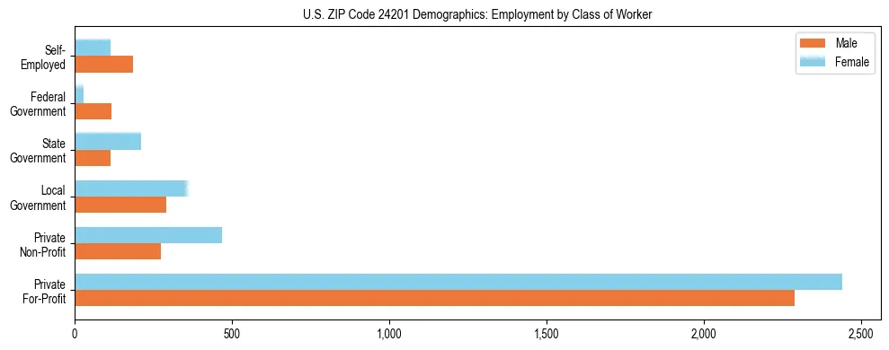 Horizontal bar chart showing employment distribution by class of worker and gender in US ZIP Code 24201, based on 2023 ACS data.