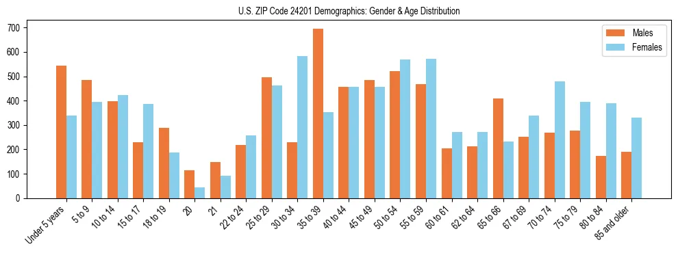 Bar chart showing the population distribution of US ZIP Code 24201 by age group and gender, based on 2023 ACS data.