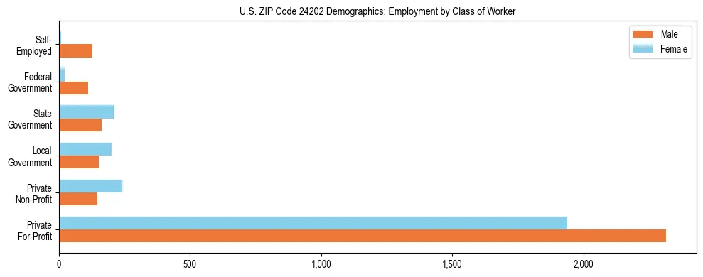 Horizontal bar chart showing employment distribution by class of worker and gender in US ZIP Code 24202, based on 2023 ACS data.
