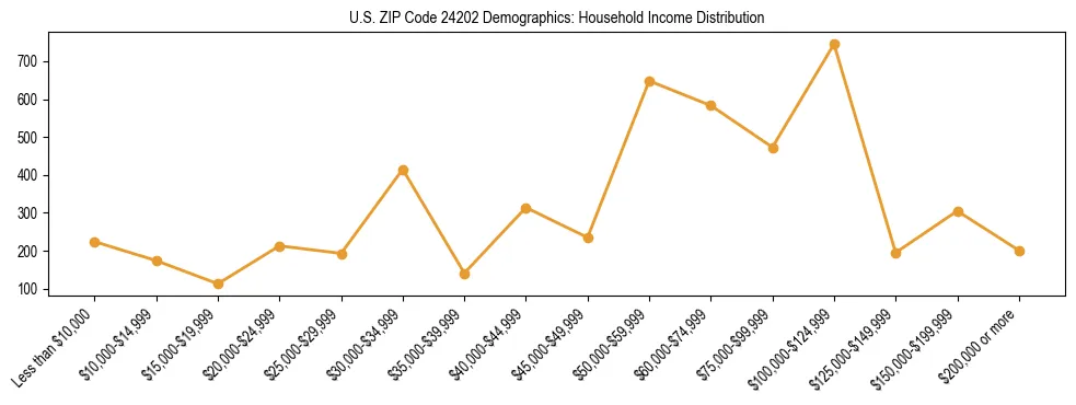 Horizontal bar chart showing household income distribution in US ZIP Code 24202.