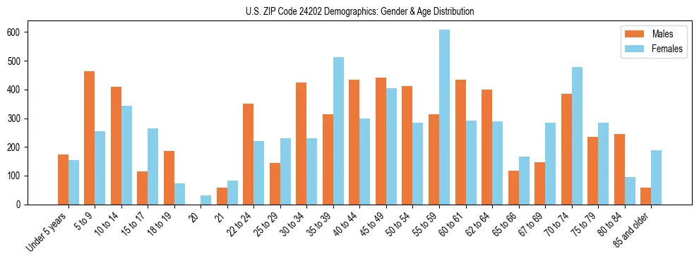 Bar chart showing the population distribution of US ZIP Code 24202 by age group and gender, based on 2023 ACS data.