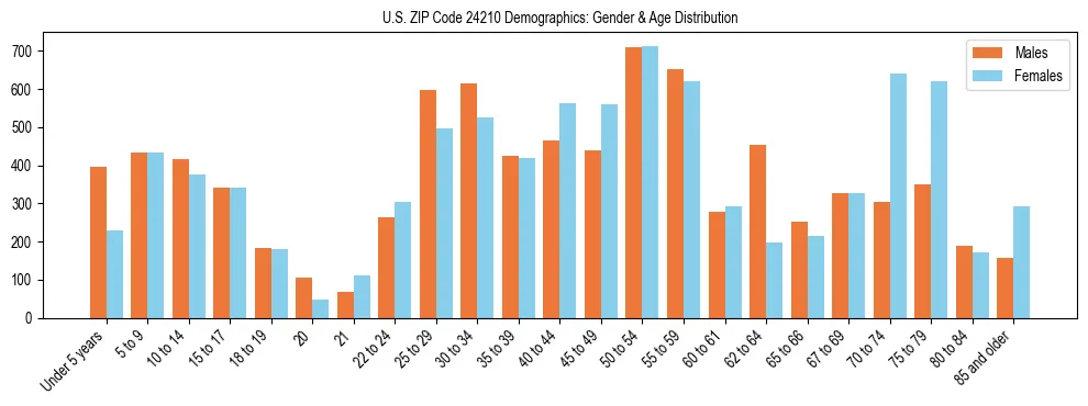 Bar chart showing the population distribution of US ZIP Code 24210 by age group and gender, based on 2023 ACS data.