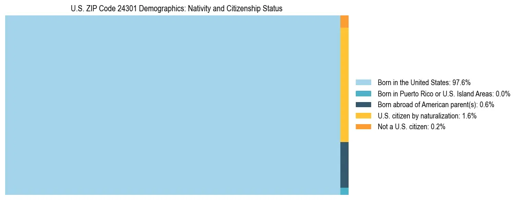 Treemap showing the population distribution by nativity and citizenship status in US ZIP Code 24301 based on U.S. Census data.