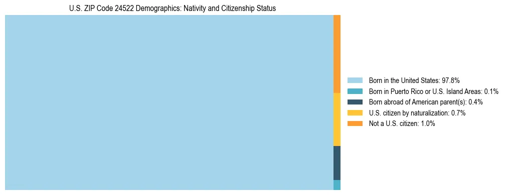 Treemap showing the population distribution by nativity and citizenship status in US ZIP Code 24522 based on U.S. Census data.