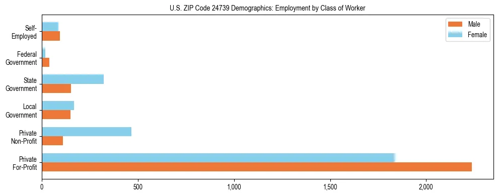 Horizontal bar chart showing employment distribution by class of worker and gender in US ZIP Code 24739, based on 2023 ACS data.