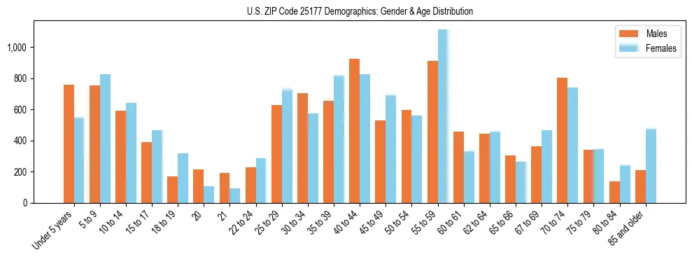 Bar chart showing the population distribution of US ZIP Code 25177 by age group and gender, based on 2023 ACS data.