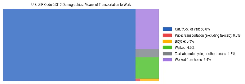 Treemap showing means of transportation to work distribution in US ZIP Code 25312.