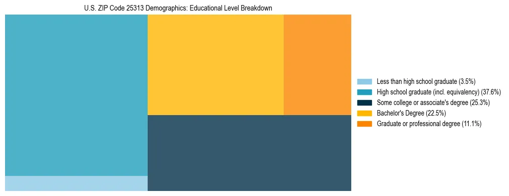 Treemap chart illustrating the educational attainment breakdown for population 25 years and over in US ZIP Code 25313.