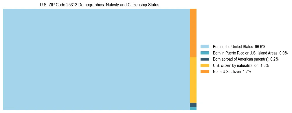 Treemap showing the population distribution by nativity and citizenship status in US ZIP Code 25313 based on U.S. Census data.