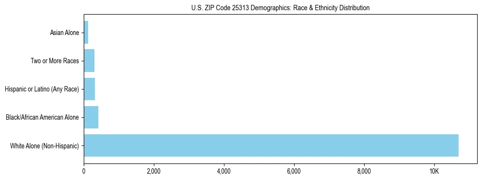 Race and Ethnicity Distribution Chart for US ZIP Code 25313