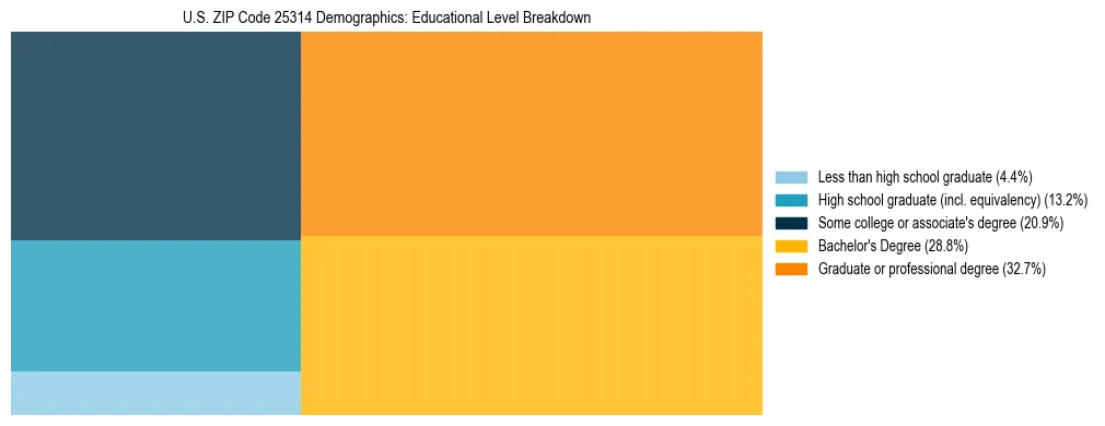 Treemap chart illustrating the educational attainment breakdown for population 25 years and over in US ZIP Code 25314.