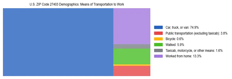 Treemap showing means of transportation to work distribution in US ZIP Code 27403.