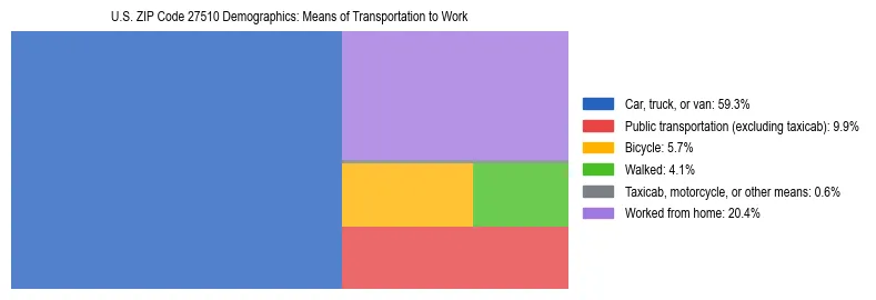 Treemap showing means of transportation to work distribution in US ZIP Code 27510.