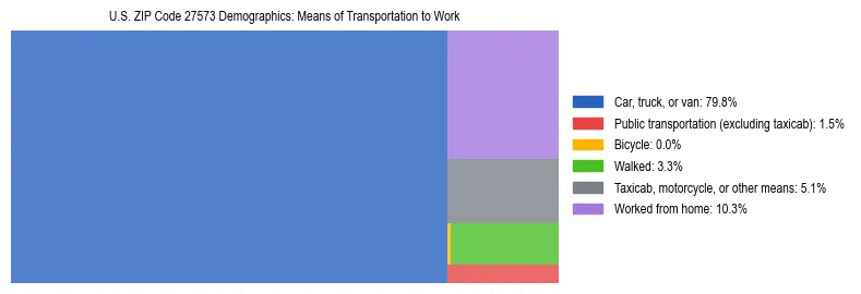 Treemap showing means of transportation to work distribution in US ZIP Code 27573.