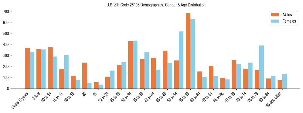 Bar chart showing the population distribution of US ZIP Code 28103 by age group and gender, based on 2023 ACS data.