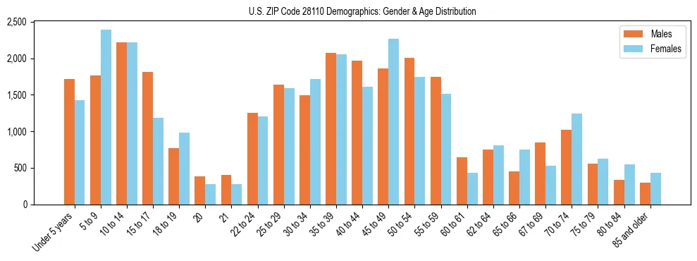 Bar chart showing the population distribution of US ZIP Code 28110 by age group and gender, based on 2023 ACS data.