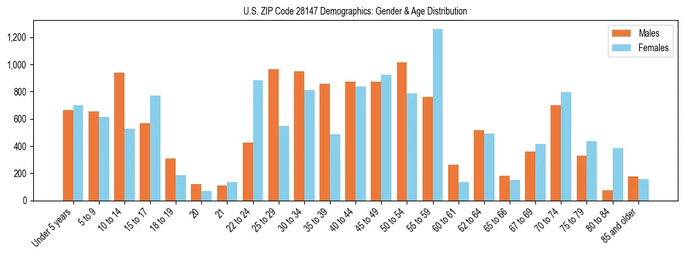 Bar chart showing the population distribution of US ZIP Code 28147 by age group and gender, based on 2023 ACS data.