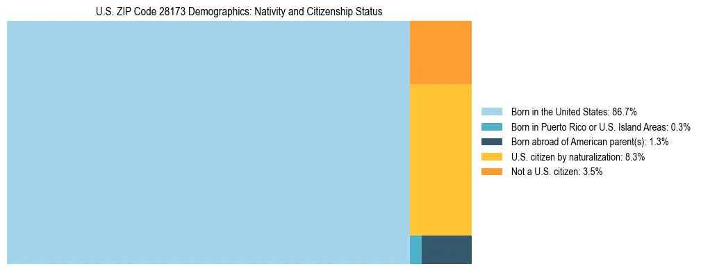 Treemap showing the population distribution by nativity and citizenship status in US ZIP Code 28173 based on U.S. Census data.