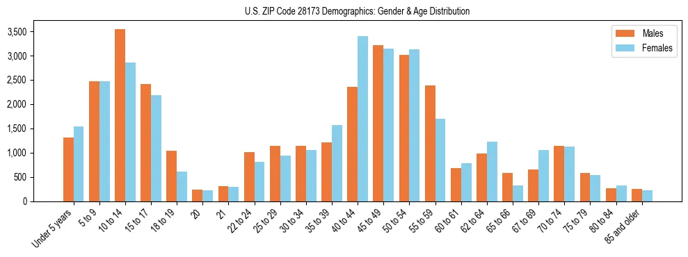 Bar chart showing the population distribution of US ZIP Code 28173 by age group and gender, based on 2023 ACS data.