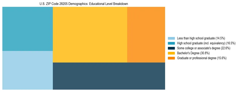 Treemap chart illustrating the educational attainment breakdown for population 25 years and over in US ZIP Code 28205.