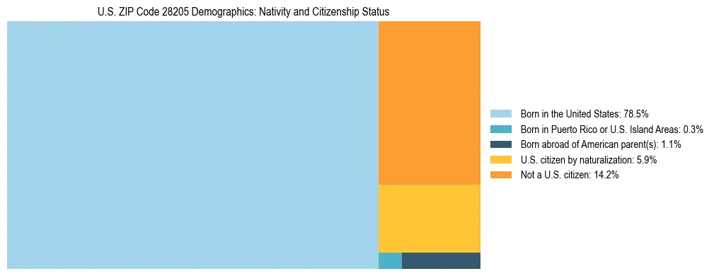 Treemap showing the population distribution by nativity and citizenship status in US ZIP Code 28205 based on U.S. Census data.