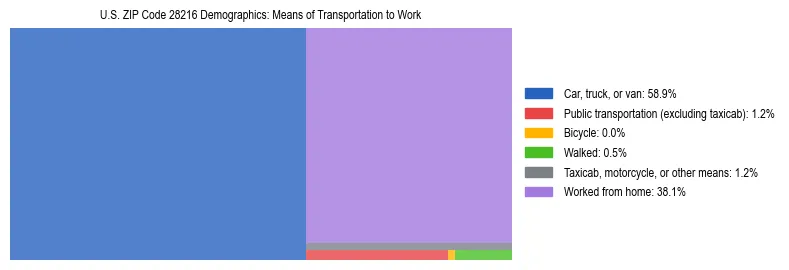 Treemap showing means of transportation to work distribution in US ZIP Code 28216.