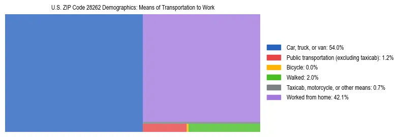 Treemap showing means of transportation to work distribution in US ZIP Code 28262.