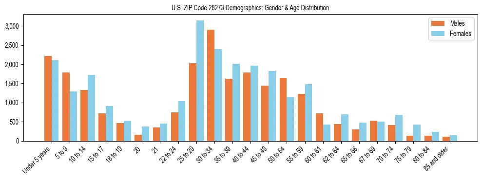 Bar chart showing the population distribution of US ZIP Code 28273 by age group and gender, based on 2023 ACS data.