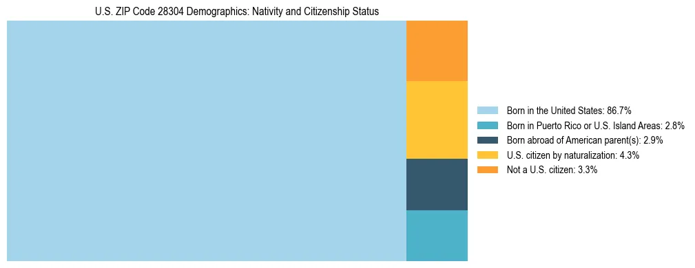 Treemap showing the population distribution by nativity and citizenship status in US ZIP Code 28304 based on U.S. Census data.