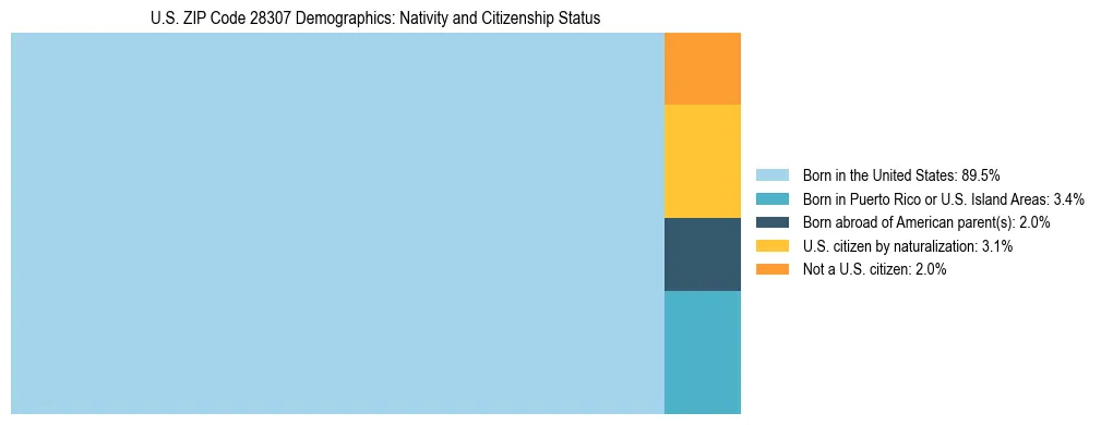 Treemap showing the population distribution by nativity and citizenship status in US ZIP Code 28307 based on U.S. Census data.