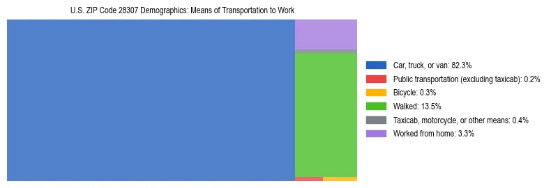 Treemap showing means of transportation to work distribution in US ZIP Code 28307.