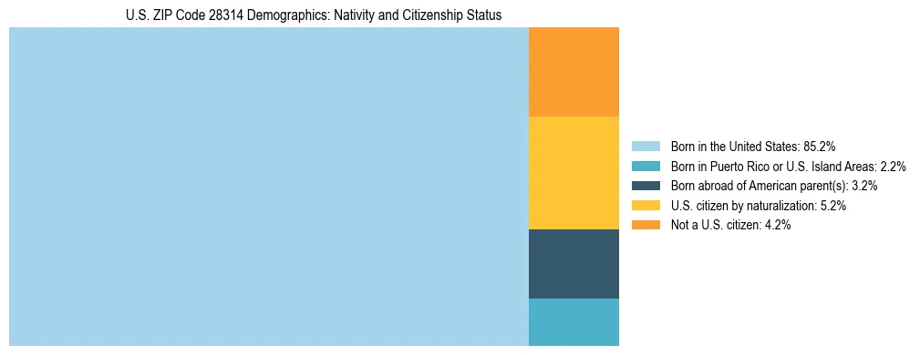 Treemap showing the population distribution by nativity and citizenship status in US ZIP Code 28314 based on U.S. Census data.