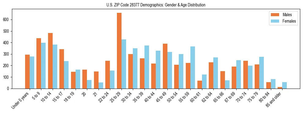 Bar chart showing the population distribution of US ZIP Code 28377 by age group and gender, based on 2023 ACS data.