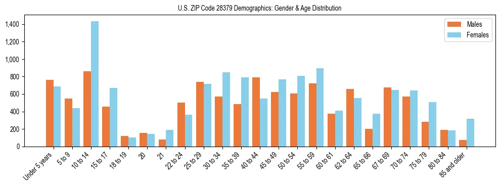 Bar chart showing the population distribution of US ZIP Code 28379 by age group and gender, based on 2023 ACS data.