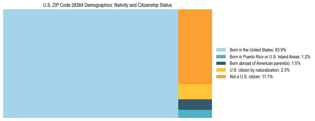 Treemap showing the population distribution by nativity and citizenship status in US ZIP Code 28384 based on U.S. Census data.