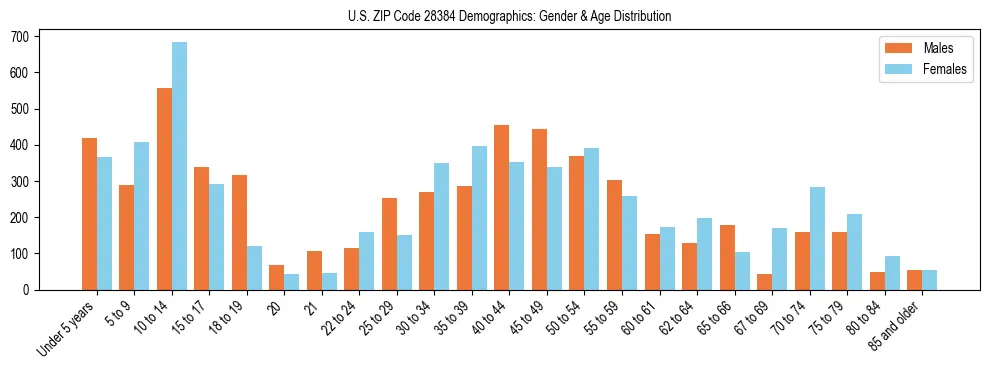 Bar chart showing the population distribution of US ZIP Code 28384 by age group and gender, based on 2023 ACS data.