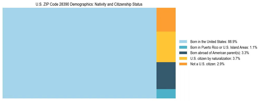 Treemap showing the population distribution by nativity and citizenship status in US ZIP Code 28390 based on U.S. Census data.