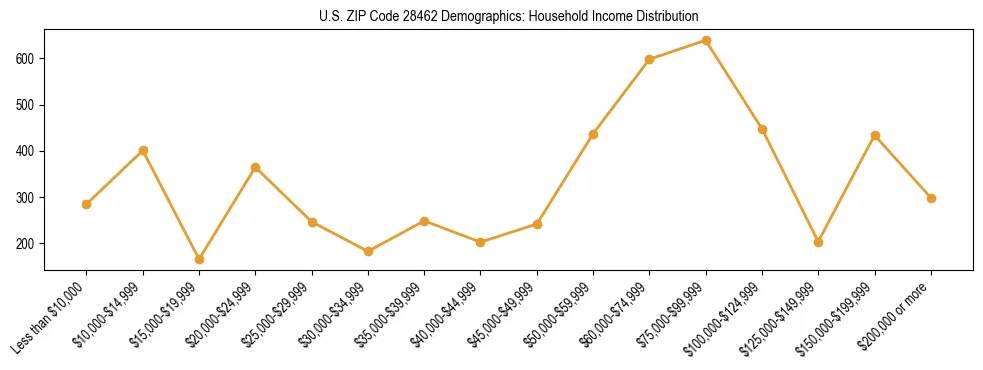 Horizontal bar chart showing household income distribution in US ZIP Code 28462.