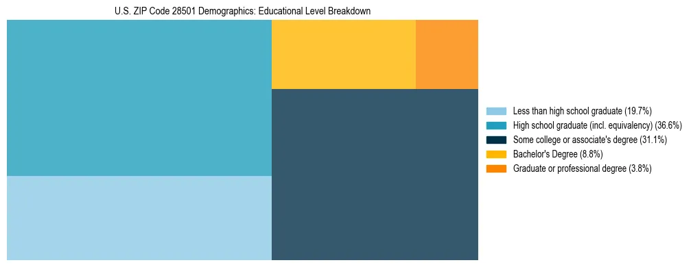 Treemap chart illustrating the educational attainment breakdown for population 25 years and over in US ZIP Code 28501.